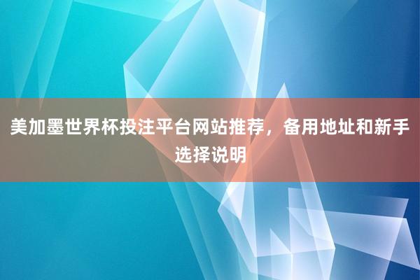 美加墨世界杯投注平台网站推荐，备用地址和新手选择说明