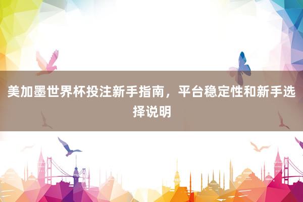 美加墨世界杯投注新手指南，平台稳定性和新手选择说明